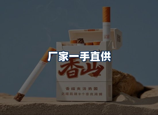 专业团队办公环境